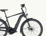 Pegasus Strong Evo 11 Lite, 750 Wh | E-bike - Afbeelding 3
