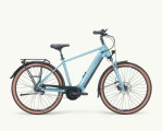 Pegasus Premio Evo 5F, 750 Wh | E-bike