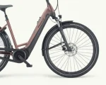 Pegasus Ravenna Evo 7F Disc, 500 Wh | E-bike - Afbeelding 11