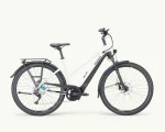 Pegasus Premio Evo 10 Lite, 750 Wh | E-bike - Afbeelding 10