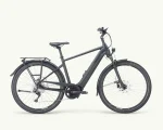 Pegasus Premio Evo 10 Lite, 750 Wh | E-bike - Afbeelding 7