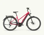 Pegasus Premio Evo 10 Lite, 750 Wh | E-bike - Afbeelding 4