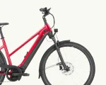 Pegasus Premio Evo 10 Lite, 750 Wh | E-bike - Afbeelding 6