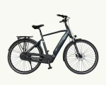 Granville E-Elegance, 545 Wh | E-bike - Afbeelding 7