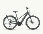 Pegasus Premio Evo 10 Lite, 750 Wh | E-bike