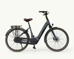 Granville E-Elegance NEX, 625 Wh | E-bike
