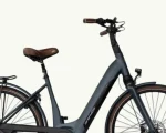 Granville E-Elegance NEX, 625 Wh | E-bike - Afbeelding 4