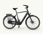 Granville E-Elegance NEX, 625 Wh | E-bike - Afbeelding 5