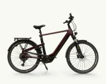 Winora Yakun X10E, 625 Wh | E-bike - Afbeelding 5