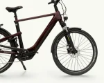 Winora Yakun X10E, 625 Wh | E-bike - Afbeelding 7