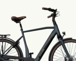 Granville E-Elegance NEX, 625 Wh | E-bike - Afbeelding 8