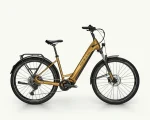 Bulls Iconic Evo 2, 625 Wh | E-bike