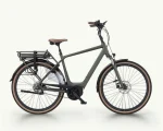Pegasus Siena E5F Belt, 500 Wh | E-bike