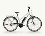 Pegasus Solero E7F Plus, 545 Wh | E-bike