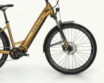 Bulls Iconic Evo 2, 625 Wh | E-bike - Afbeelding 3