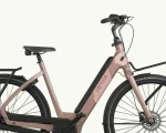 Cortina E-Common Integrated (N7), 500 Wh | E-bike - Afbeelding 4