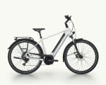 Pegasus Solero Evo 9, 750 Wh | E-bike - Afbeelding 9