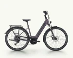 Pegasus Solero Evo 10, 750 Wh | E-bike