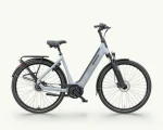 Sparta D-Rule Energy, 625 Wh | E-bike