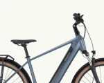Pegasus Solero Evo 8 Suv, 750 Wh | E-bike - Afbeelding 12
